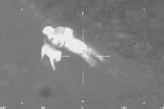 Šuns ištikimybė: nesitraukė nuo nelaimės ištikto šeimininko