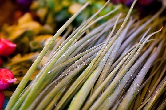 Kaip užsiauginti gardžių svogūnų laiškų? Tai labai paprasta!