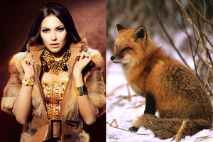 Ekologijos triumfas: mados gigantas atsisakė tikro kailio