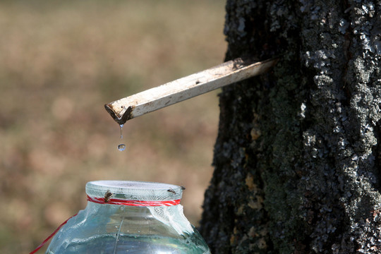 Dietologė paaiškino, kodėl gerti sulą gali būti pavojinga