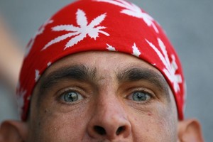 Kanapių mėgėjai gavo leidimą mitinguoti prie Seimo