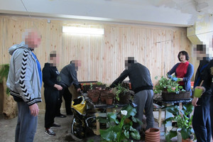 Kybartų nuteistieji daigais savo daržams pasirūpino patys