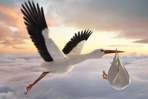 Iš kur kilo legenda, kad vaikus atneša gandrai?