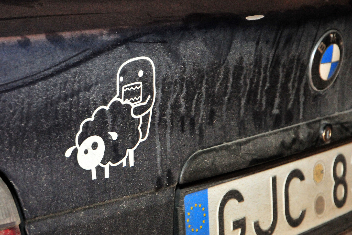 Klevo lapo vietoje ant BMW puikuojasi avytė.<br>A.Vaitkevičiaus nuotr.