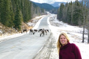 Aliaskoje atsidūrusi lietuvė kugelį kepa su rūkyta lašiša