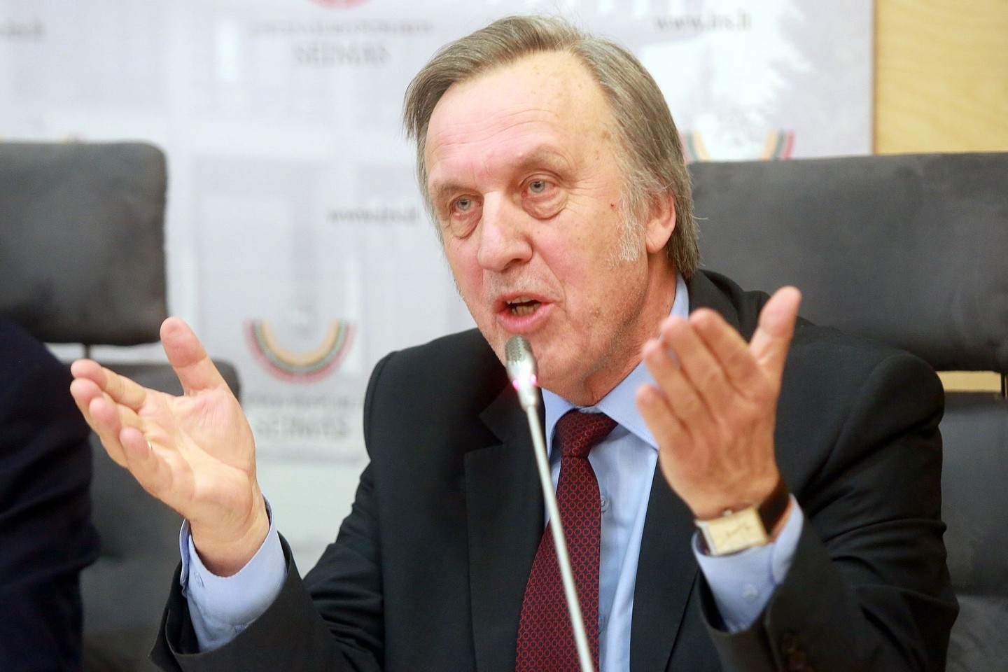 Paklaustas, ar sutiktų dirbti vidaus reikalų ministru, P. Gylys tiesaus atsakymo vengė.