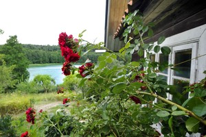 Pora įsikūrė prie ežero. Tada pamatė, kokie jų draugai iš tiesų