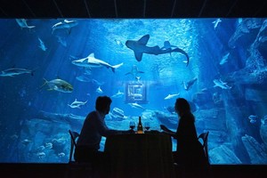 „Airbnb“ nesiliauja stebinti: siūlo nakvynę akvariumo gilumose