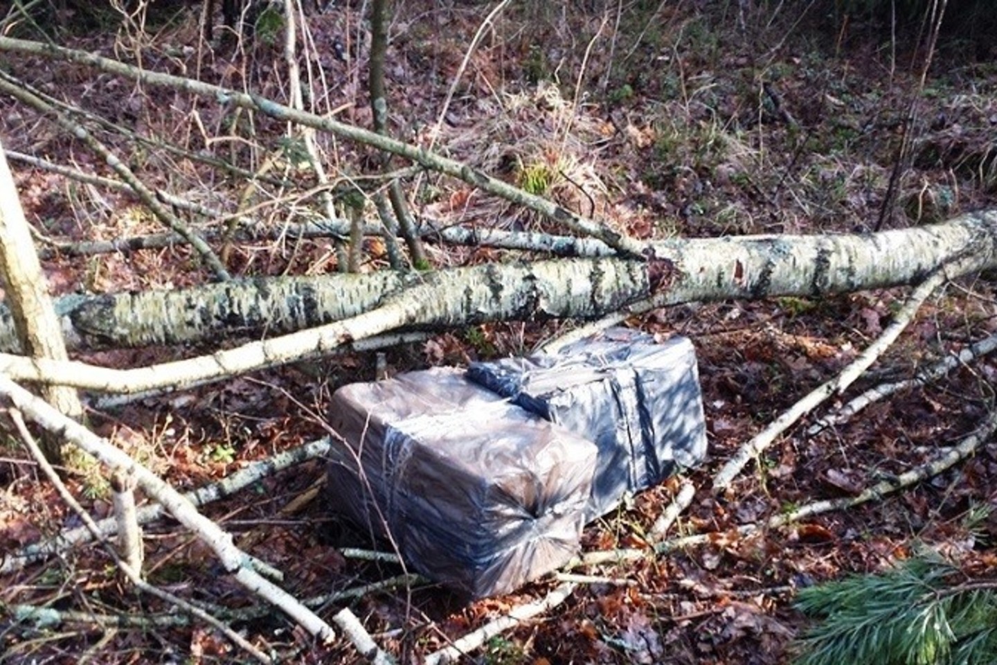 Areštinėje atsidūrė į Lietuvą cigaretes nešusi baltarusių pora.