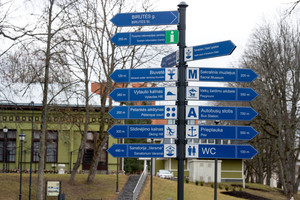 Karūnos užsigeidęs Birštonas gundo garsiais vardais