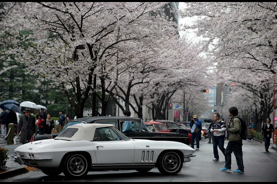 Senovinių automobilių mėgėjai parodė japonams savo turtą.<br>AFP/Scanpix nuotr.