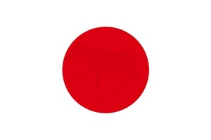 Pastabumo testas: ką matote raudono skritulio viduje?