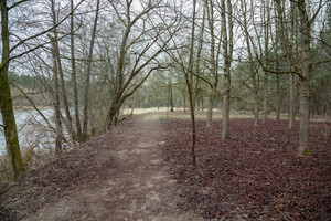 Įvertinkite: štai kaip sutvarkė Neries šlaitus