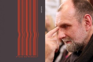Aido Marčėno knygos recenzija: gal eilėraštukai
