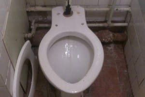 Parodė Kauno ligoninės tualeto nuotrauką: „Užėjusi pakraupau“