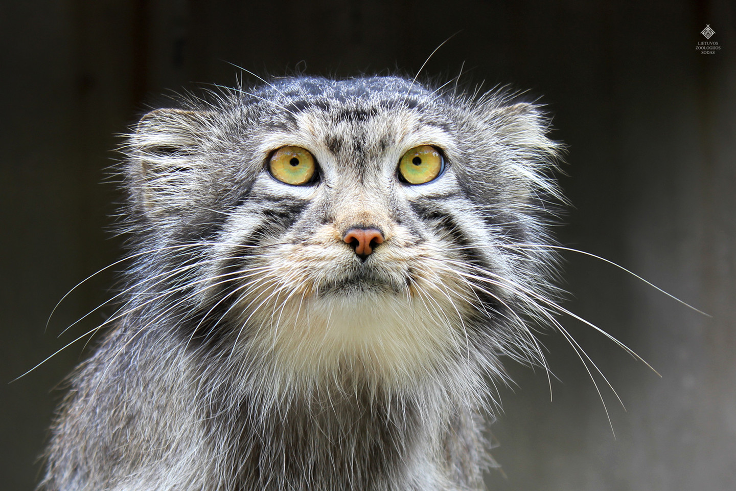 Gyventojams nereikalingi, tačiau zoologijos sodo įnamiams reikalingi daiktai surenkami kiekvieną dieną.