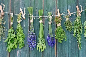 8 natūralūs produktai, galintys pakeisti antibiotikus