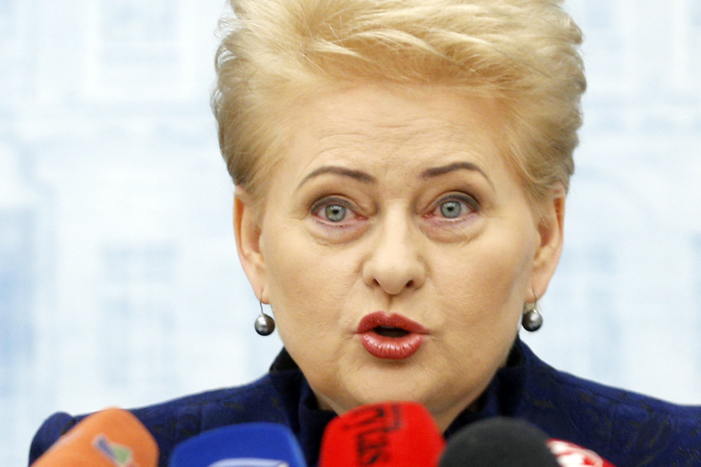 „Kol ES išorinė siena nėra pilnai apsaugota, tol Lietuva nepritars tokių radikalių pokyčių siūlymams“, – teigia D.Grybauskaitė.