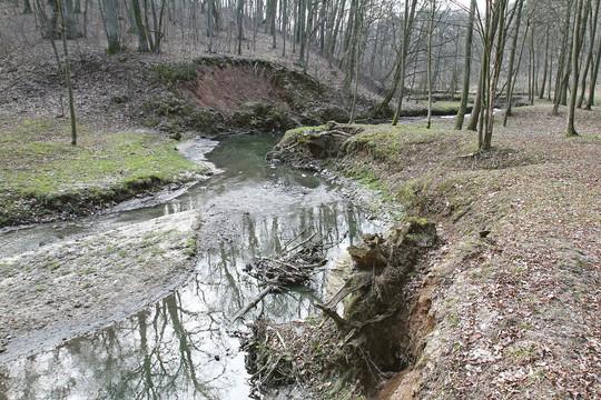 Slėnis Kaune – poetų apdainuotas, tačiau kelias į jį keblus