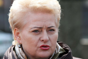 D. Grybauskaitė vis dar neapsisprendžia dėl S. Skvernelio