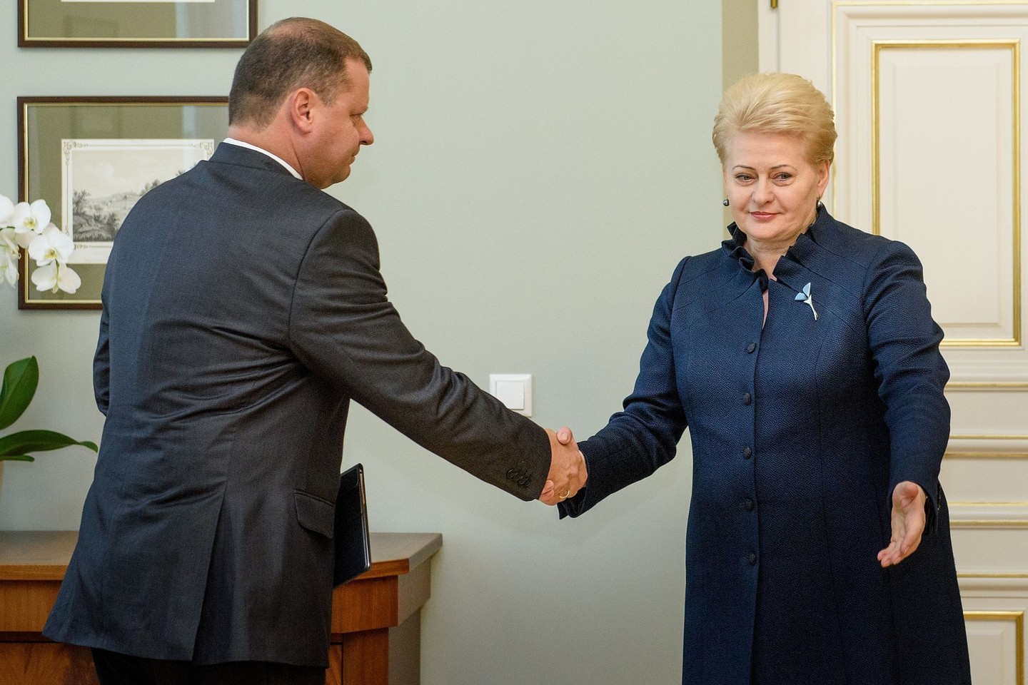 D.Grybauskaitė delsia priimti sprendimą dėl vidaus reikalų ministro.<br>D.Umbraso nuotr. iš archyvo