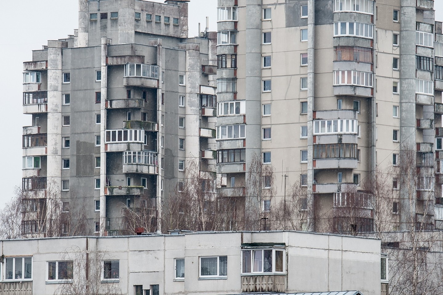 Vidutiniškai pora metų (nuo 26 iki 24 metų) sutrumpėjo jų sudarytų būsto paskolų sutarčių trukmė, 1,5 tūkst. eurų (nuo 38,5 iki 37 tūkst.) sumažėjo vidutinė paskolos suma.