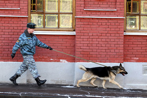 Tarnybinis šuo atskleidė lietuvio kontrabandininko nusikaltimą