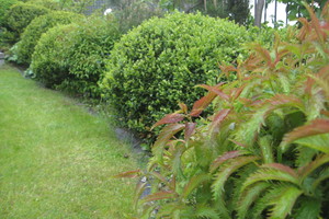 Misija įmanoma: susikurkite angliško stiliaus kiemą Lietuvoje