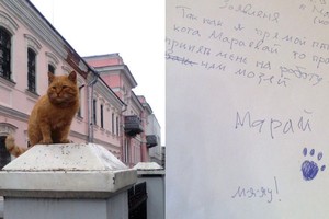 Rusų pokštas dėl katino buvo suprastas ne taip, kaip tikėjosi