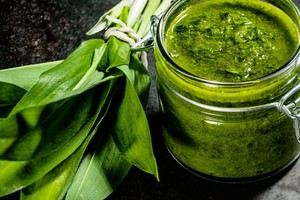 Meškinių česnakų pagardas – lyg tonikas organizmui pavasarį