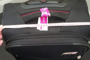 Emigrantui skrydis iš Palangos kainavo daugiau nei tikėjosi