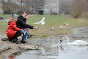 Tamsioje Palangos gatvėje nutiko tai, ko moteris niekad nepamirš