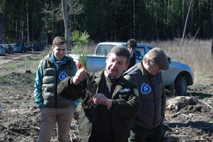 Prasidėjo miškų sodinimo metas: kaip tinkamai pasodinti medelį?