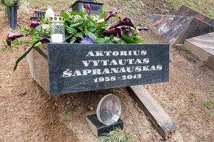 V. Šapranausko kapą aplankęs menininkas nesusitvardė