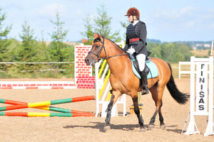 Dopingo kontrolė – ir lenktyniniams žirgams