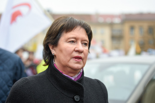 V.Baltraitienė laukia išvadų dėl NŽT naujos vadovės skyrimo