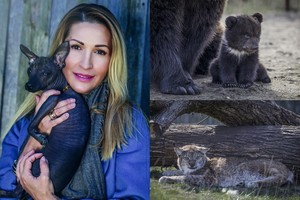 Dainos Bosas ūkyje laksto ir lokiukai, ir lūšys su vilkais