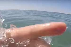 Kraują stingdantis reginys vandenyje: gyvi liko tik per plauką