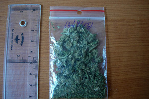 Kartu su kanapėmis studentas parsisiuntė ir didelę bėdą