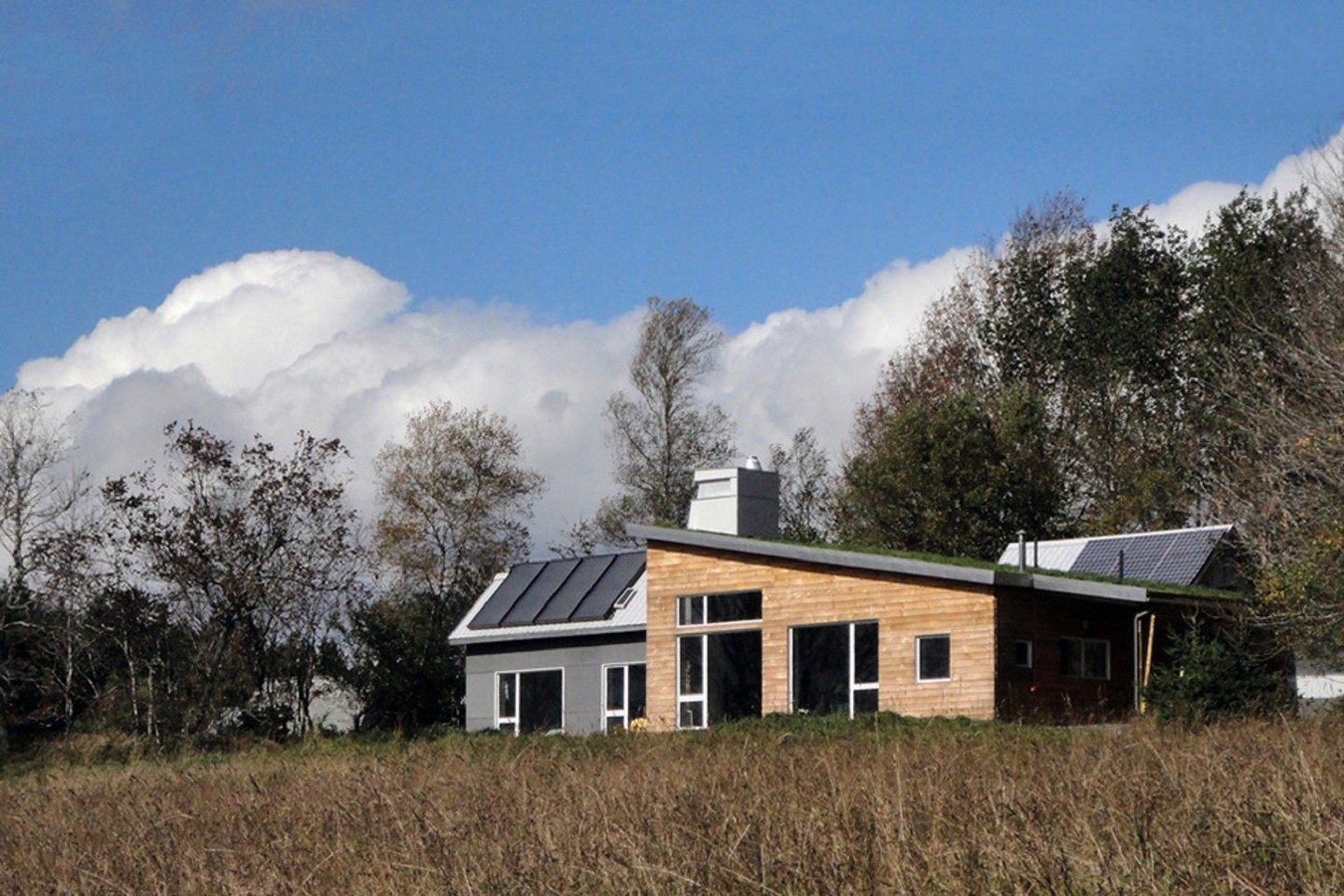 Viena energiją taupančio namo Kanadoje stogo dalis paversta žalia pievele.<br>„Solterre Inc“ nuotr.