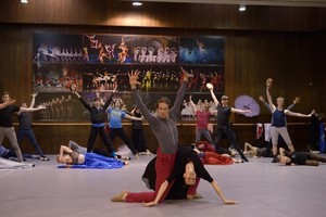 Balete „Don Kichotas“ trykš fontanas, bet arklio ir asilo nebus