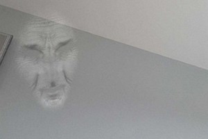 Merginos telefonas tuščioje sienoje atpažino šiurpų veidą