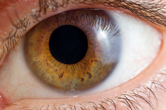 Psichologas atskleidė, kaip lytinę orientaciją išduoda akys