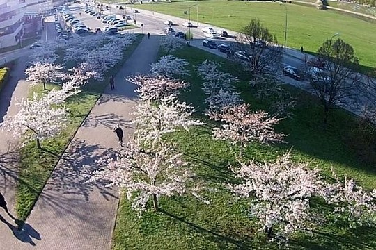 Vilniaus puošmena – kvapą gniaužiančiuose vaizduose iš aukštai