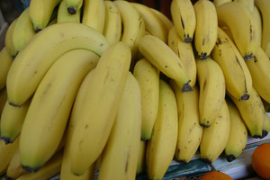 Mėgstate bananus? Atsivalgykite – parduotuvėse jų gali nelikti