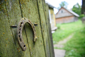 Kaimas ūžia: smagus jaunuolio sumanymas virto nelaime rūsyje
