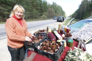 Grybai pildo dzūkų pinigines: kiek kainuoja bobausiai?