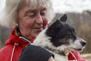 Šunys ir katės – ne tik draugai, bet ir puikūs gydytojai