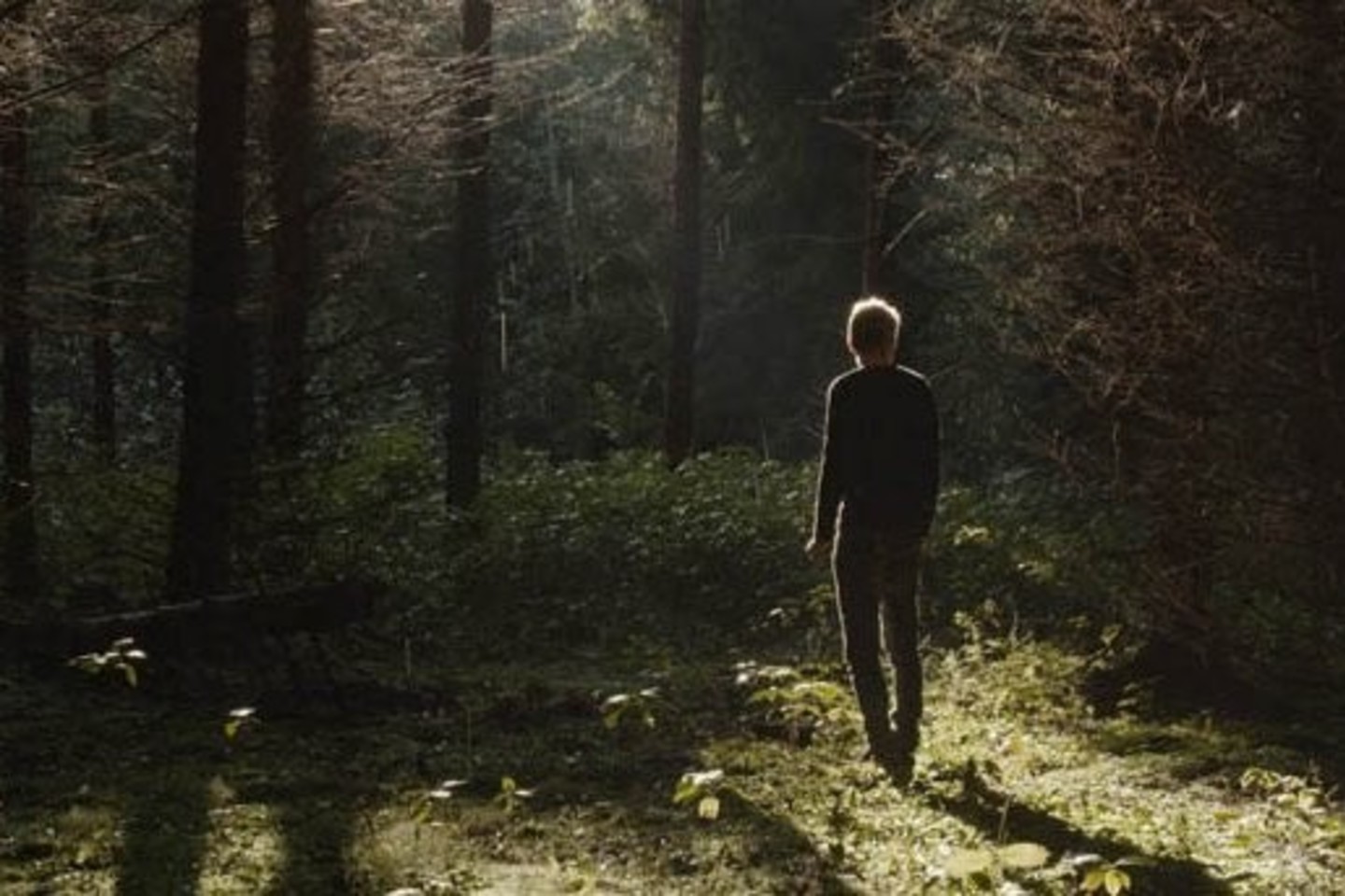 Lietuviškų filmų programą Briuselyje“ pradės naujausia Š.Barto juosta „Ramybė mūsų sapnuose“.