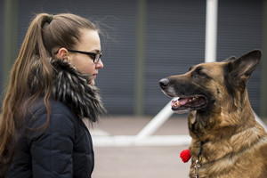 Nuo vaikystės pamilti gyvūnai palikdami pasaulį draskė širdį